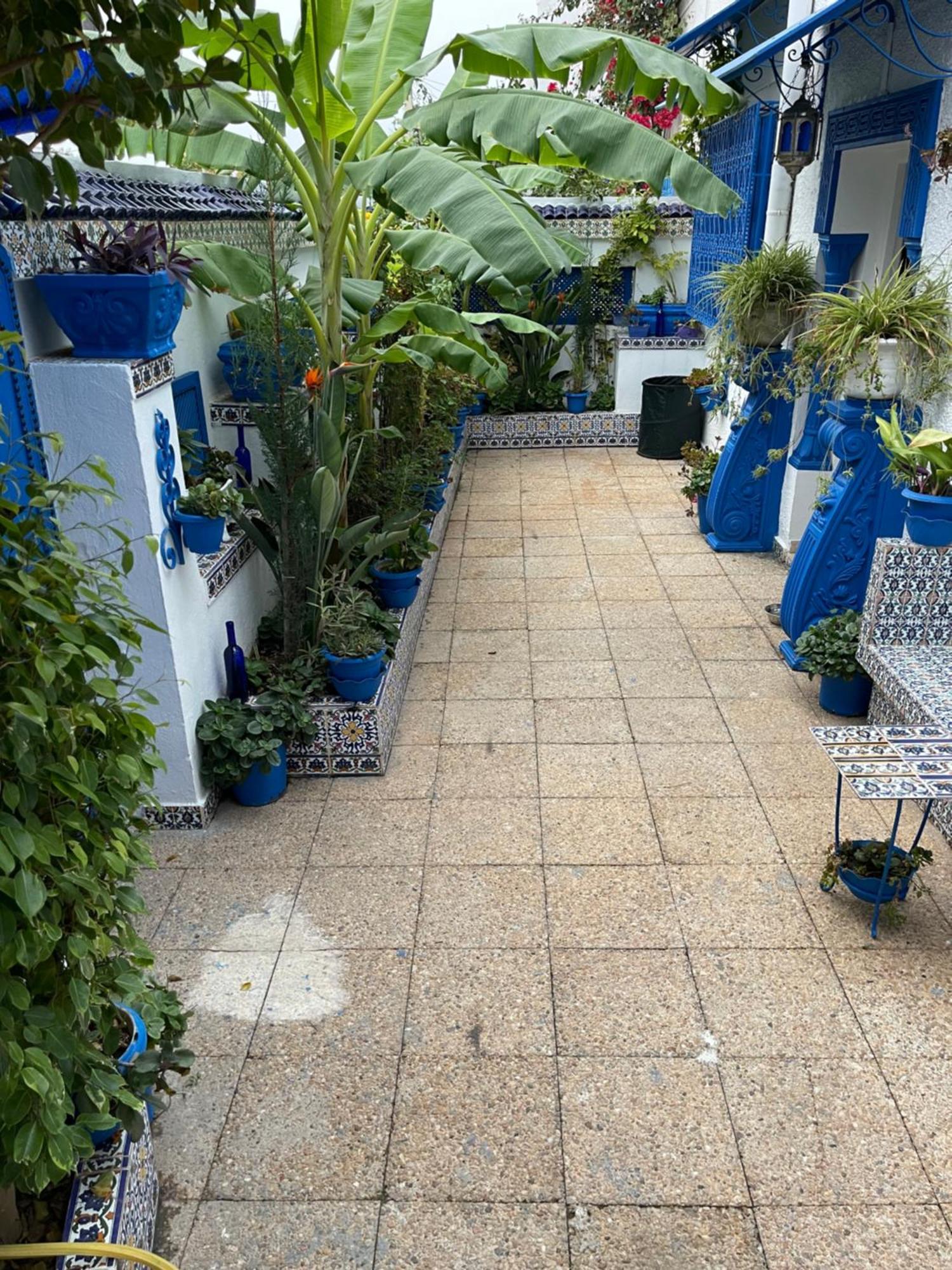 The Blue And White Perle Villa Sidi Bou Said Ngoại thất bức ảnh