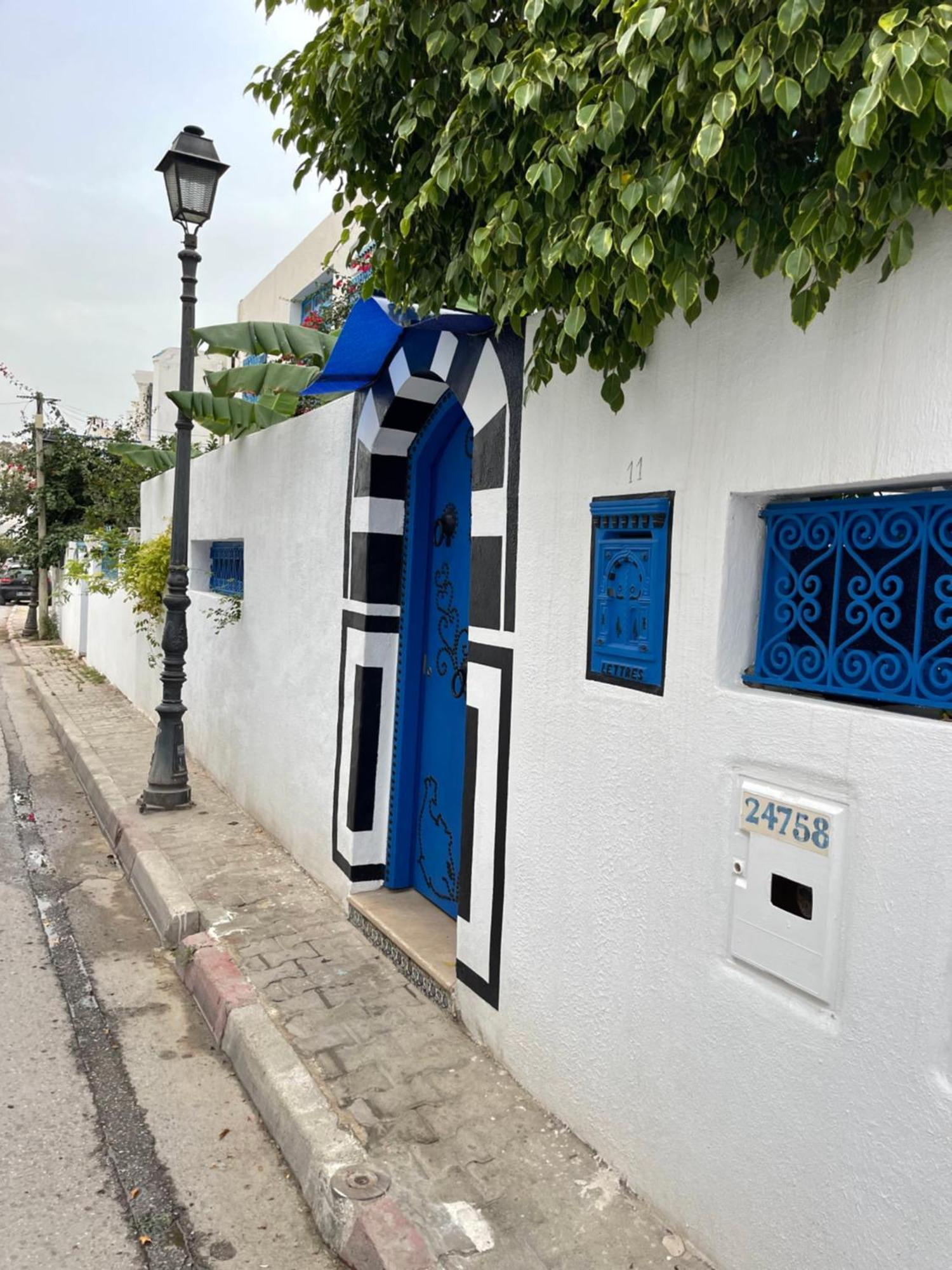 The Blue And White Perle Villa Sidi Bou Said Ngoại thất bức ảnh