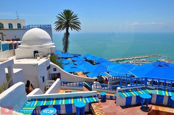 The Blue And White Perle Villa Sidi Bou Said Ngoại thất bức ảnh