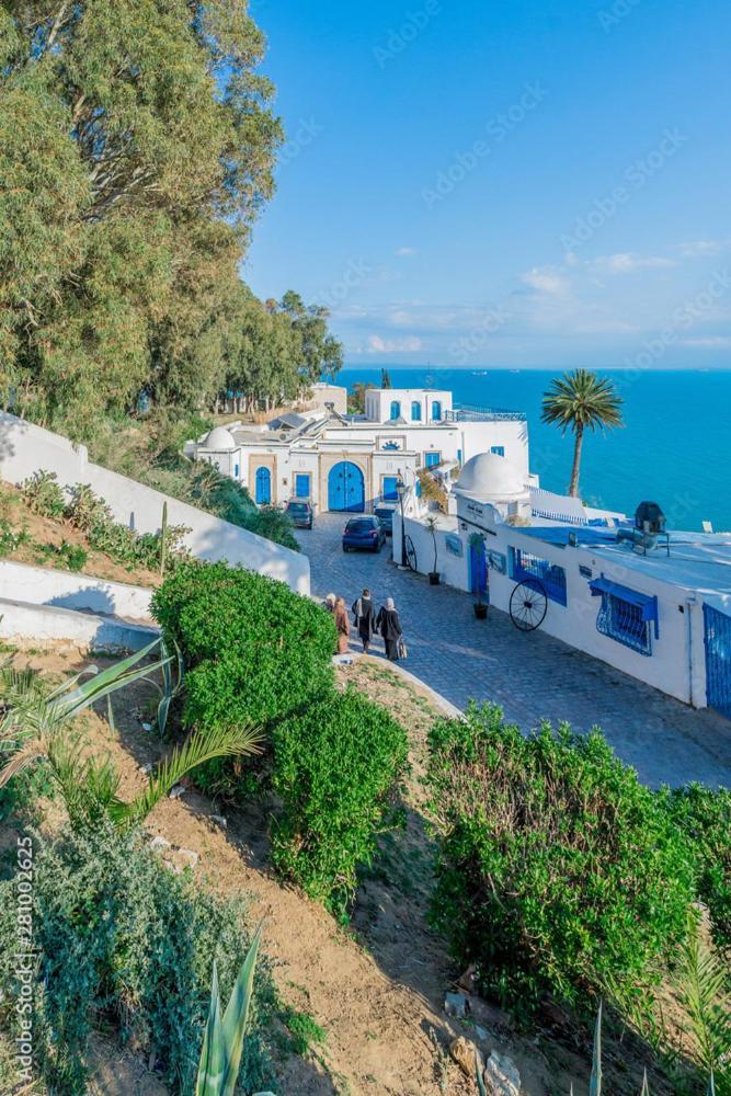 The Blue And White Perle Villa Sidi Bou Said Ngoại thất bức ảnh