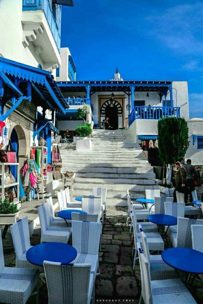 The Blue And White Perle Villa Sidi Bou Said Ngoại thất bức ảnh