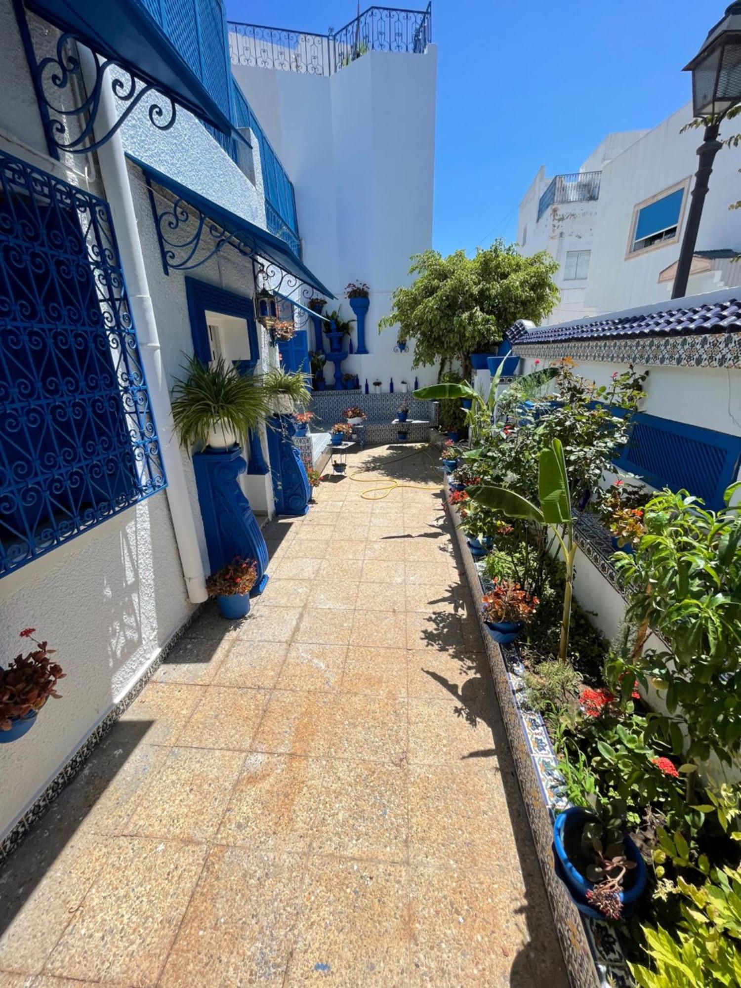 The Blue And White Perle Villa Sidi Bou Said Ngoại thất bức ảnh