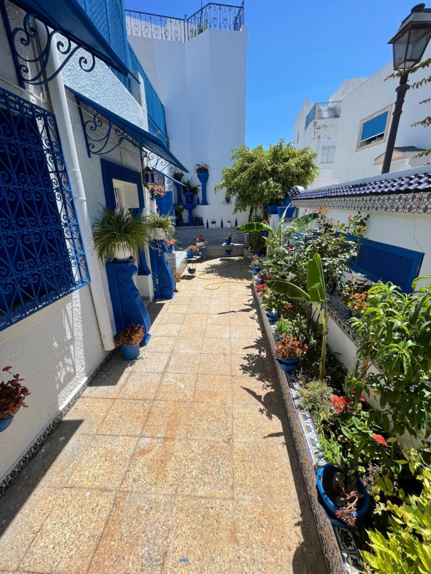 The Blue And White Perle Villa Sidi Bou Said Ngoại thất bức ảnh